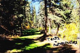 Camping area, Geneva Creek, Colorado.