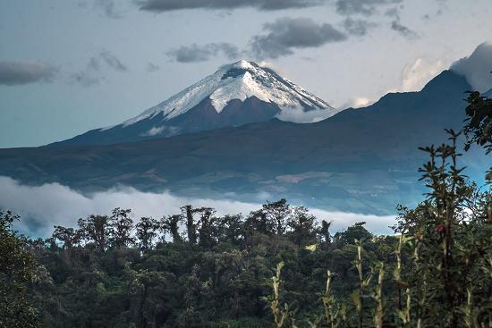 Sierra Alisos Hotel de Campo, Ecuador -pic by Michnus Olivier.