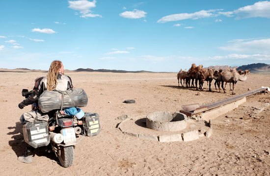Till and camels at a desert well