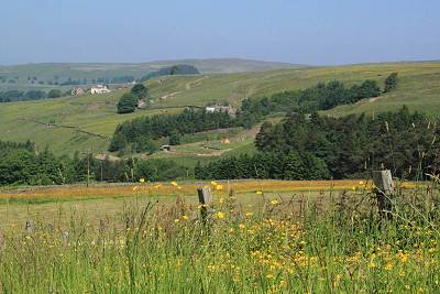Haggs Bank Campsite sits in part of a 4.5 acre wildflower meadow with terraced pitches and stunning Pennine views.
