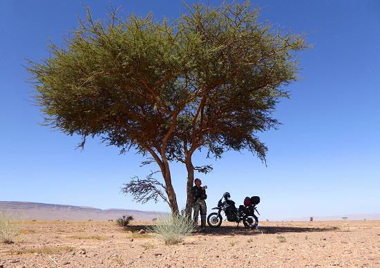 David Bailey in Morocco.