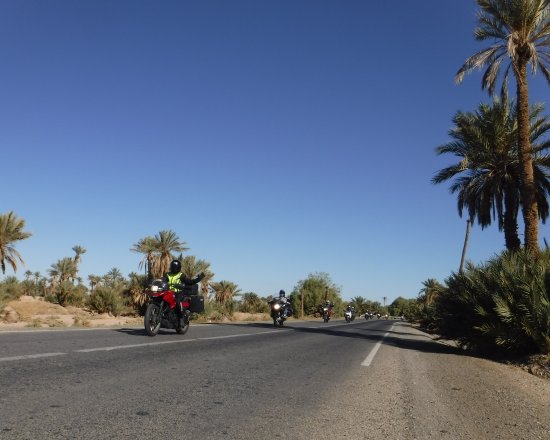 Brenda Priebe, group tour and palm trees along the road.