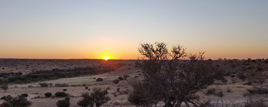 Desert sunset