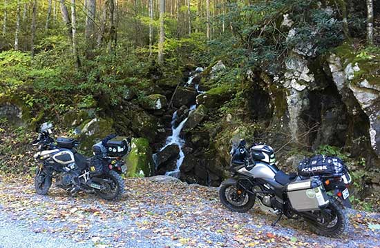 Claude Hache and Joe Enberg's bikes in a forest