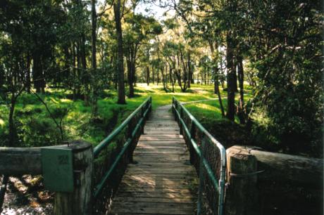 Fairbridge Village bridge into woods.