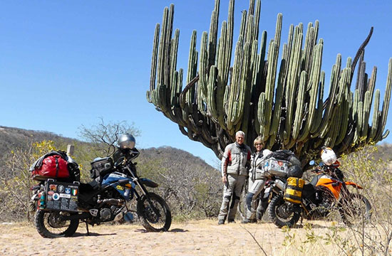 Lyn and Alan Curtis by a giant cactus, Mexico.