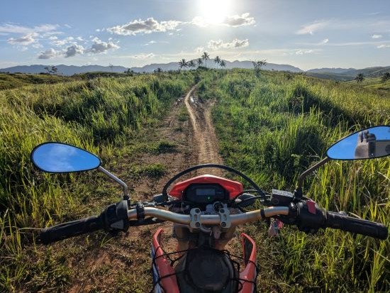 Marian Vulpe's view to a dirt trail in a green field.