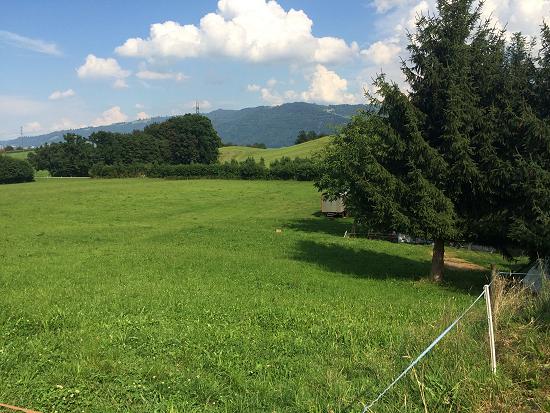 Nice flat area for camping at Erlebnisbauernhof Gerbe, Switzerland. 