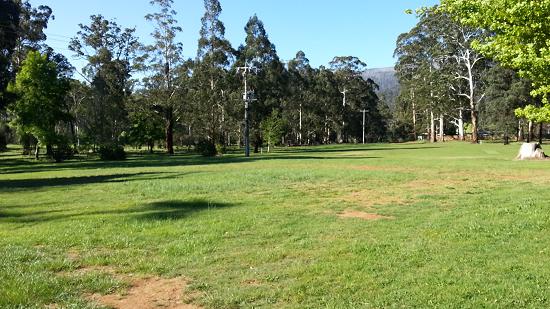 Camp Marysville camping area.