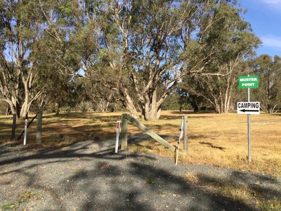 Yourdamung Rd Retreat camping area.