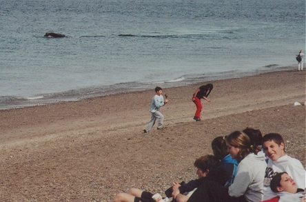 Southern Right Whale, mother and calf, passing close to shore, watching us watch them