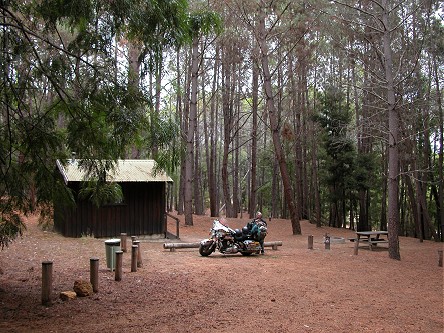 Our cabin in the woods