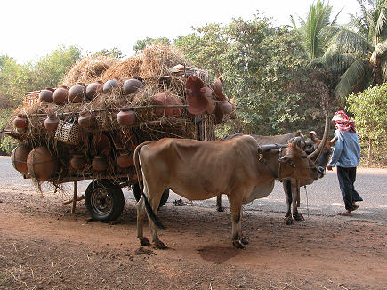 Bullock drawn pot seller