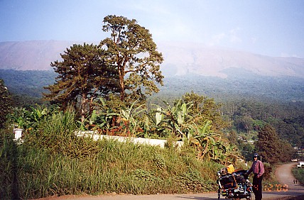 Mt Cameroon in the background
