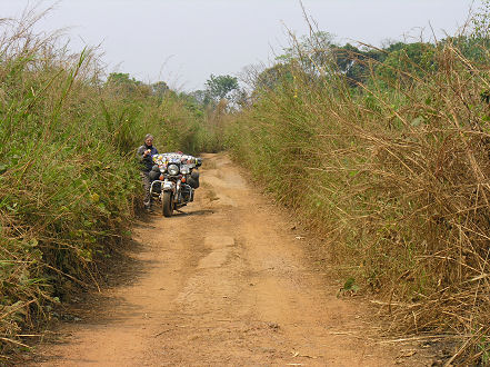 The vegetation changes but the roads remain the same, dirt.