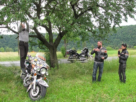 Picking cherries roadside with Pavel and Nadia