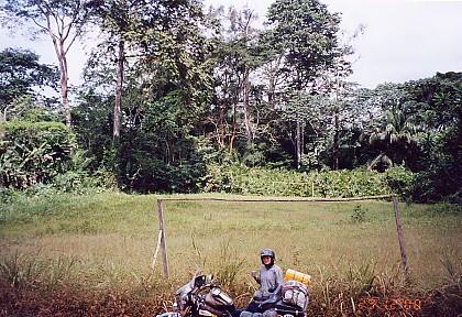 Soccer field in the rainforest, they're everywhere, national sport