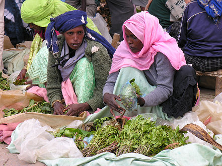 Women selling Khat (qat) in the Harar markets