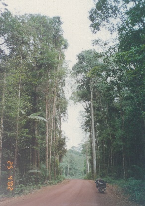 New road linking French Guiana with Brazil