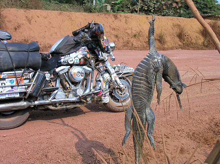 Bush meat of crocodile and dik dik antelope hang roadside for sale