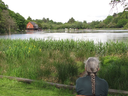 Admiring the lake at Llandrindod Wells