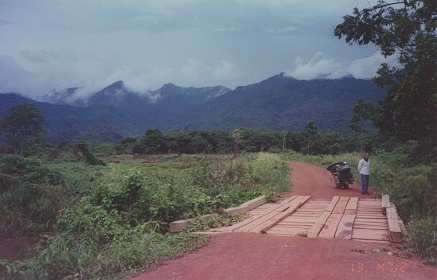 Tropical rainforest in the mountains along the road to Georgetown