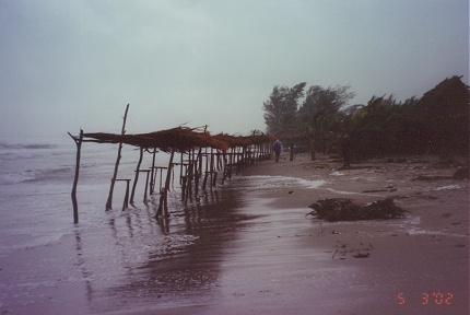 Tropical storm hit Tela, our grass roofed hut leaked in the heavy rain