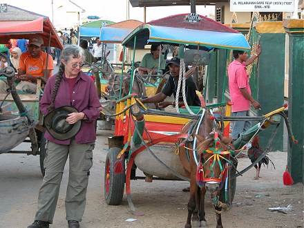 Pony drawn wagons the people and goods carriers here on Sumbawa