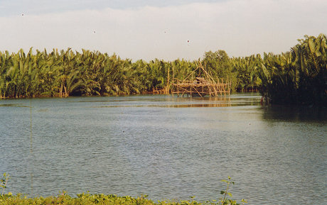 Fishing traps