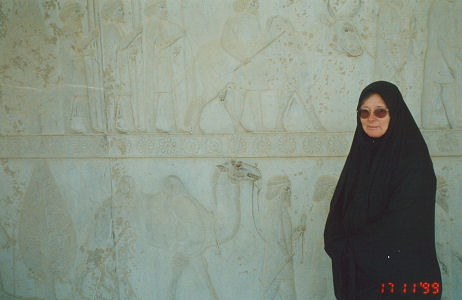 Persepolis, some magnificent relief carvings