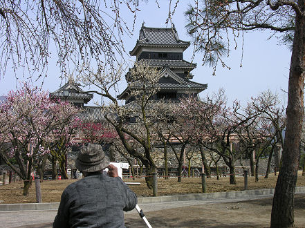 Matsumoto Castle through cherry blossom