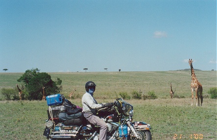 Masai Mara Reserve, and almost friendly giraffes