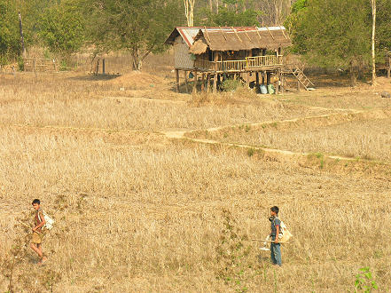 Children sweeping the fields with metal detectors looking for bomb fragments to sell as scrap metal