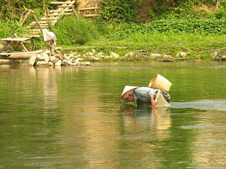 Collecting river weed, dried and eaten as a snack