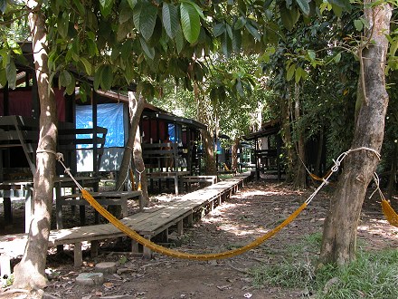 Basic accommodation in open aired dormitories, boardwalks to keep out of the mud.