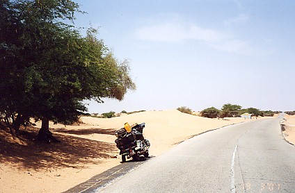 Resting in the shade along this desert road