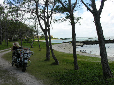 Public beach amongst the trees