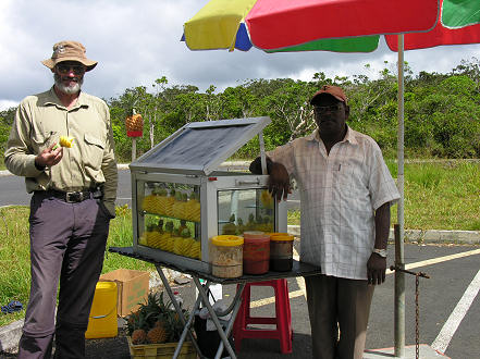 Pineapple seller in the national park