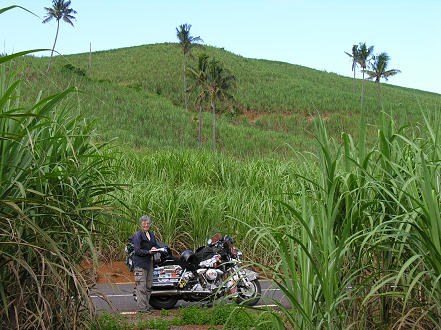 Sugar cane is on most fertile land on the island