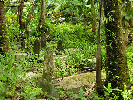 Local graves dug into the jungle