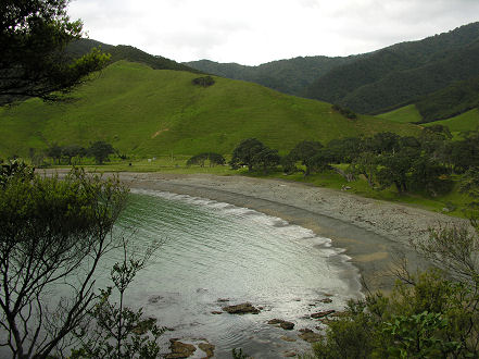 Stony Bay at the tip of the Coromandel Peninsula