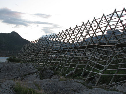 Cod fish drying racks in Svolvaer