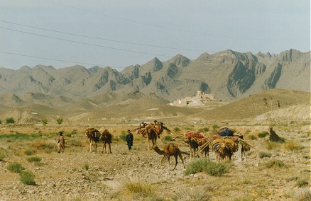Camel nomads with all worldly possessions