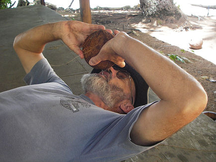 Enjoying the milk from a fallen coconut