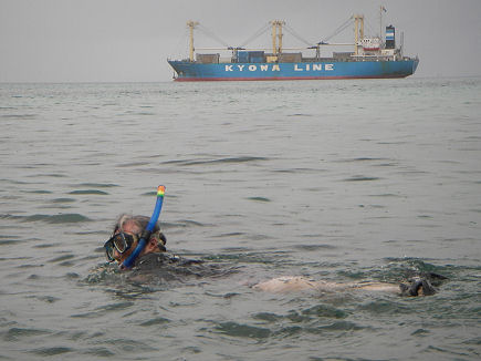 Watching the motorcycle's ship arrive whilst snorkelling