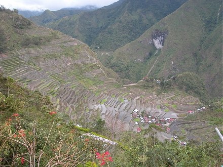 Rice terraces of Batad with the village at the bottom