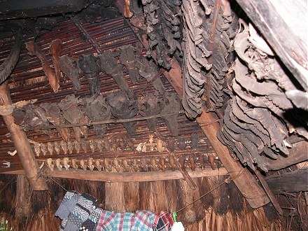 Collection of skulls, monkey, pig, dog and chicken, in a traditional house