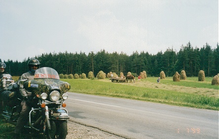 Hay stacks on poles