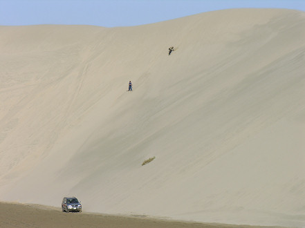 Surfing the dune