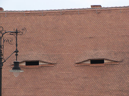 Roof eyes in Sibiu